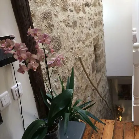 Jasmin בית נופש